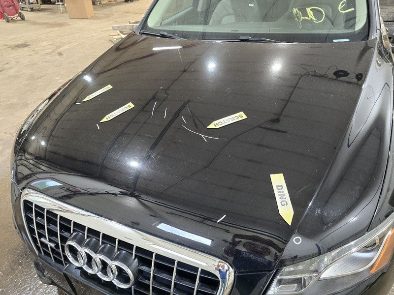 Hood Fits 09-12 AUDI Q5 634667
