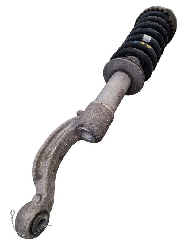 GHIBLI    2019 Strut 664938