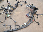 EXPEDITON 2022 Body Wire Harness 679706