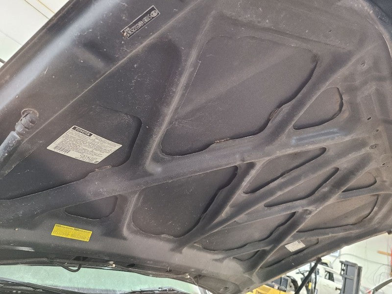 Hood Fits 01-07 SEQUOIA 664216