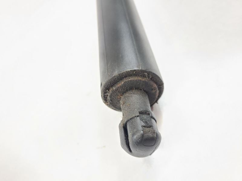 MKC       2017 Hatchback Strut 559734