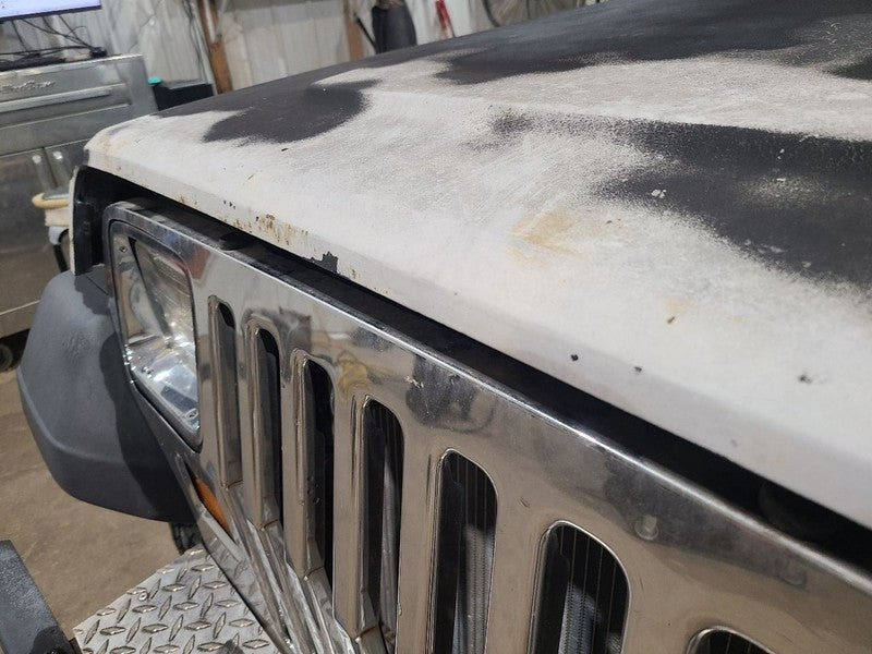 Hood Fits 87-95 WRANGLER 676909