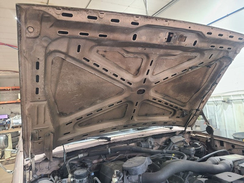 Hood Fits 87-91 BRONCO 649446