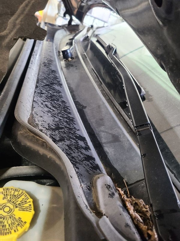 DURANGO   2019 Cowl 669096