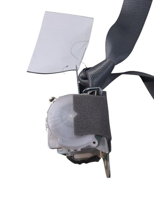 HIGHLANDR 2019 Seat Belt Rear 655743
