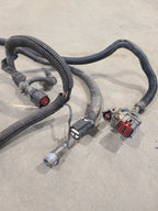 TFORD150  1995 Transmission Wire Harness 664097