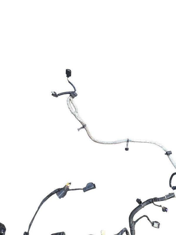 ECOSPORT  2020 Engine Wire Harness 647626