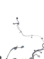 ECOSPORT  2020 Engine Wire Harness 647626