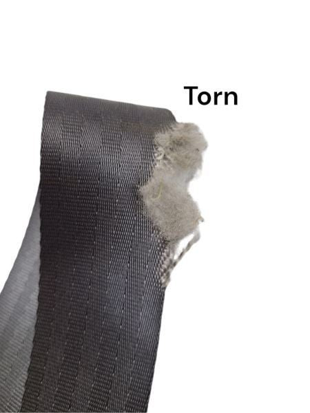 TDODR2500 1999 Seat Belt Rear 596900