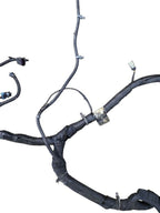 ESCALAESV 2010 Lamp Wiring Harness 645314