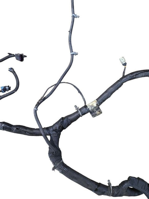 ESCALAESV 2010 Lamp Wiring Harness 645314