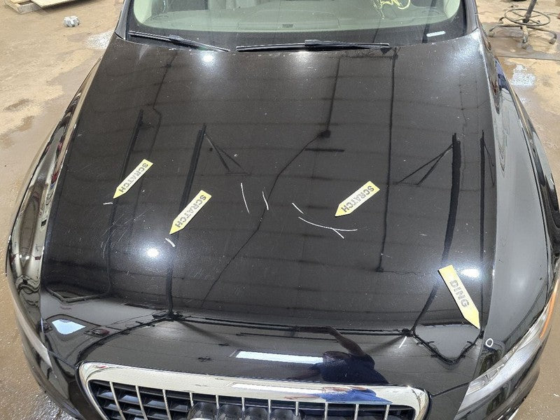 Hood Fits 09-12 AUDI Q5 634667
