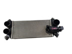 Intercooler 2.7L Turbo Fits 21-25 FORD F150 PICKUP 670863