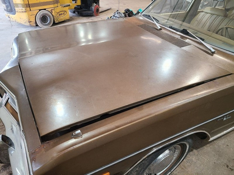 Hood Fits 73-76 DART 668120