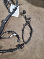 OUTLANDER 2020 Engine Wire Harness 619587