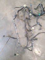 RAM1500   2001 Engine Wire Harness 667088