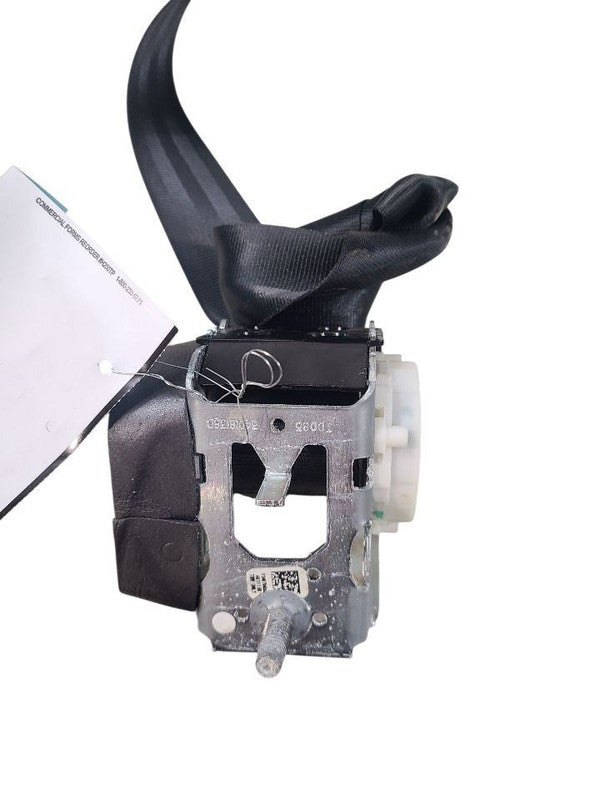 FOCUS     2012 Seat Belt Rear 640893