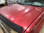 Hood Fits 93-98 T100 663769