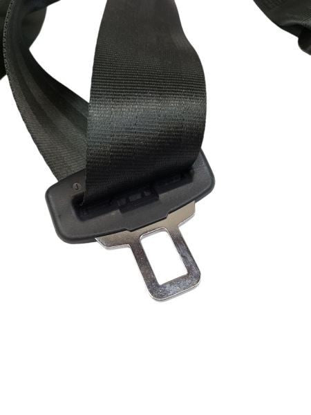ESCAPE    2020 Seat Belt Rear 593578