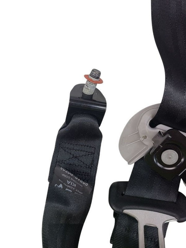 SPORTAGE  2020 Seat Belt Rear 628019