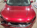 Hood Fits 19-24 EDGE 676284