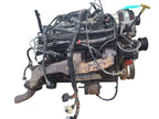 Engine 5.9L 8-360 VIN Z 8th Digit Fits 94-01 DODGE 1500 PICKUP 661143
