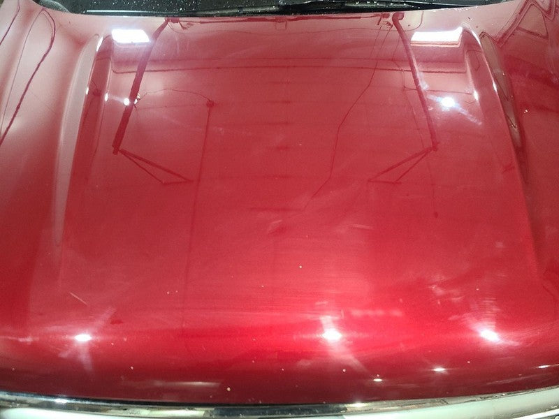 Hood Fits 17-19 ESCAPE 650580