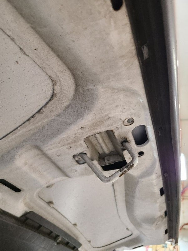 Hood Fits 14-22 PROMASTER 1500 VAN 670498
