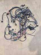 X5        2013 Engine Wire Harness 670371