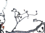 ESCAPE    2017 Engine Wire Harness 650621 GV6T-12A690