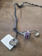 F150      2018 Lamp Wiring Harness 673910