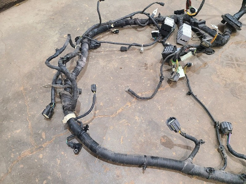 EXPEDITON 2022 Body Wire Harness 679706