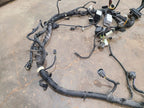 EXPEDITON 2022 Body Wire Harness 679706