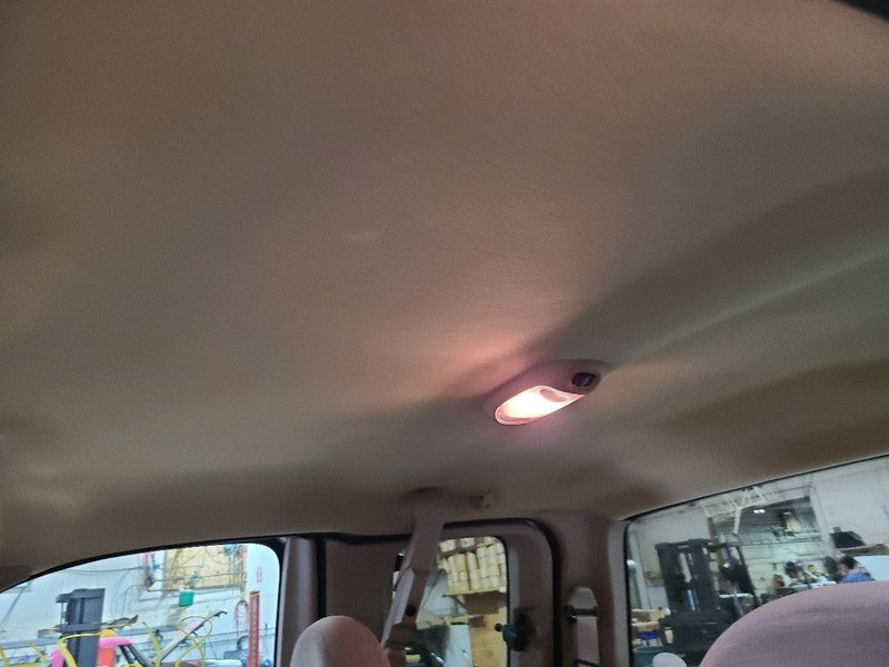F150      1998 Headliner 663141