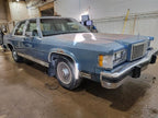 GRAND MAR 1986 Seat Belt Front 562716
