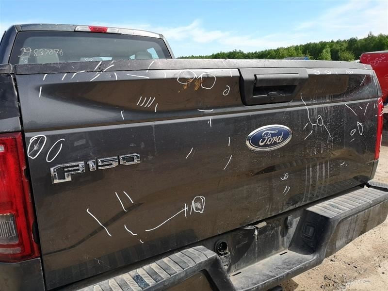 Trunk/Hatch/Tailgate Without Tailgate Step Fits 15-17 FORD F150 PICKUP