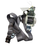 ACCORD    2010 Seat Belt Rear 617966