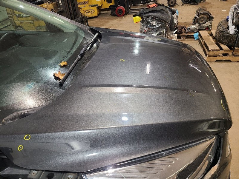 Hood Fits 17-19 ESCAPE 650370