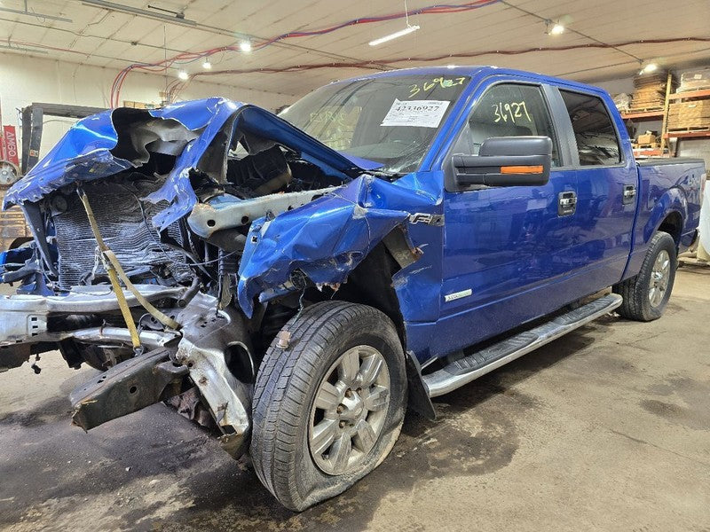 F150      2011 Seat Belt Rear 635784