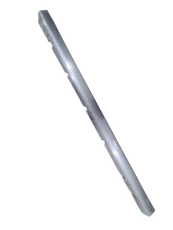 CHARGER   2019 Rocker Panel Moulding 676167