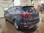 Passenger Right Front Door LWB Fits 15-19 SANTA FE 604344