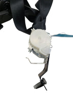 EXPEDITON 2015 Seat Belt Rear 620466