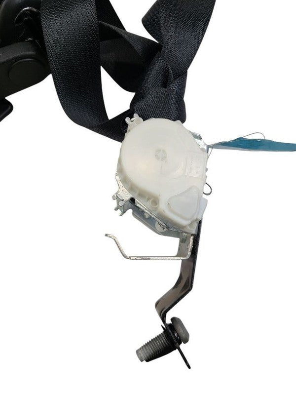 EXPEDITON 2015 Seat Belt Rear 620466