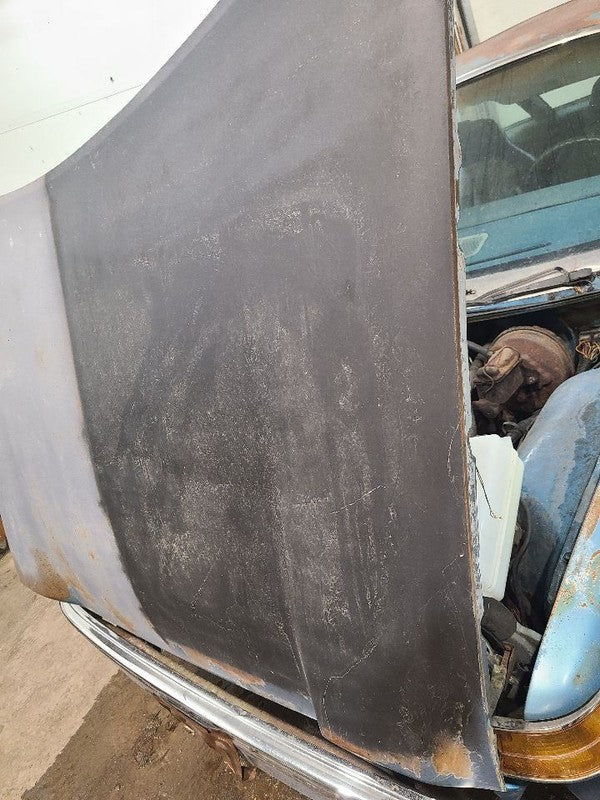Hood Fits 75-77 PACER 661287