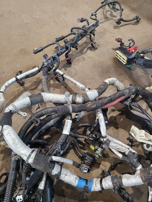 DURANGO   2019 Engine Wire Harness 669160