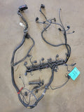 SPRINTV25 2006 Engine Wire Harness 672584