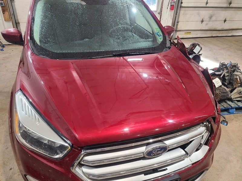 Hood Fits 17-19 ESCAPE 650580