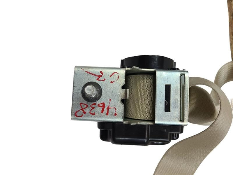 TAURUS    2015 Seat Belt Rear 585603