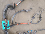 TACOMA    1998 Engine Wire Harness 673198