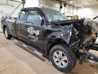 Pickup Box 8' Box Fits 15-20 FORD F150 PICKUP 558373